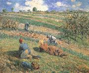 Camille Pissarro Field work oil painting artist